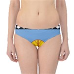 Flag Of The Mapuches Hipster Bikini Bottoms