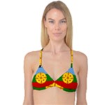 Flag Of The Mapuches Reversible Tri Bikini Top