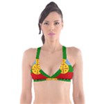 Flag Of The Mapuches Plunge Bikini Top