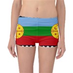 Flag Of The Mapuches Reversible Boyleg Bikini Bottoms