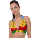 Flag Of The Mapuches Halter Plunge Bikini Top
