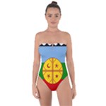 Flag Of The Mapuches Tie Back One Piece Swimsuit