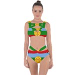 Flag Of The Mapuches Bandaged Up Bikini Set 