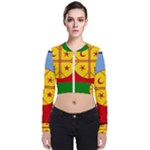 Flag Of The Mapuches Long Sleeve Zip Up Bomber Jacket