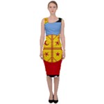 Flag Of The Mapuches Sleeveless Pencil Dress