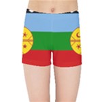 Flag Of The Mapuches Kids  Sports Shorts