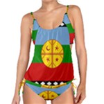 Flag Of The Mapuches Tankini Set
