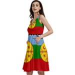 Flag Of The Mapuches Sleeveless V-Neck Skater Dress with Pockets