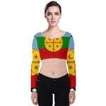 Flag Of The Mapuches Velvet Long Sleeve Crop Top