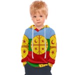 Flag Of The Mapuches Kids  Overhead Hoodie