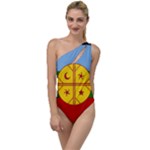 Flag Of The Mapuches To One Side Swimsuit