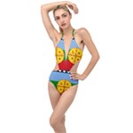 Flag Of The Mapuches Plunging Cut Out Swimsuit