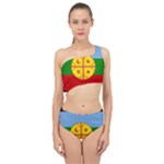 Flag Of The Mapuches Spliced Up Two Piece Swimsuit