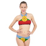 Flag Of The Mapuches High Neck Bikini Set