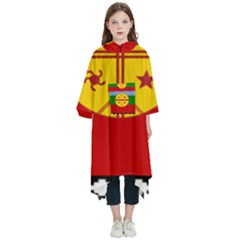Flag Of The Mapuches Kids  Hooded Rain Ponchos from ArtsNow.com