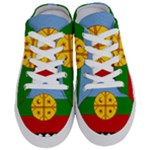 Flag Of The Mapuches Half Slippers