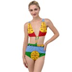 Flag Of The Mapuches Tied Up Two Piece Swimsuit