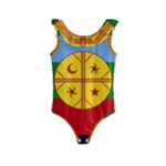 Flag Of The Mapuches Kids  Frill Swimsuit