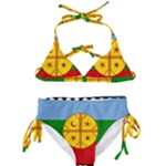 Flag Of The Mapuches Kids  Classic Bikini Set