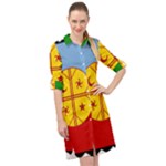 Flag Of The Mapuches Long Sleeve Mini Shirt Dress