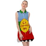Flag Of The Mapuches Sleeveless Shirt Dress