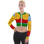 Flag Of The Mapuches Long Sleeve Cropped Velvet Jacket