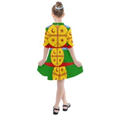Kids  All Frills Chiffon Dress 