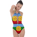 Flag Of The Mapuches Plunge Cut Halter Swimsuit