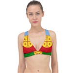 Flag Of The Mapuches Classic Banded Bikini Top