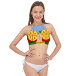Flag Of The Mapuches Cross Front Halter Bikini Top
