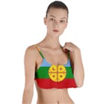 Flag Of The Mapuches Layered Top Bikini Top 