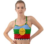 Flag Of The Mapuches Mini Tank Bikini Top