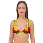 Flag Of The Mapuches Double Strap Halter Bikini Top