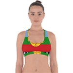 Flag Of The Mapuches Cross Back Hipster Bikini Top 