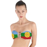 Flag Of The Mapuches Twist Bandeau Bikini Top