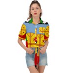 Flag Of The Mapuches Tie Front Shirt 