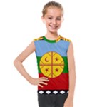 Flag Of The Mapuches Kids  Mesh Tank Top