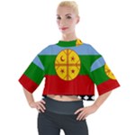 Flag Of The Mapuches Mock Neck T-Shirt
