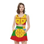 Flag Of The Mapuches Women s Crop Top Pleated Skater Rave Skirt