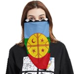 Flag Of The Mapuches Face Covering Bandana (Triangle)