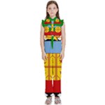 Flag Of The Mapuches Kids  Sleeveless Ruffle Edge Band Collar Chiffon One Piece