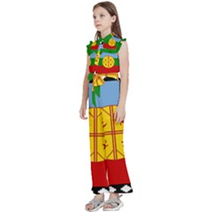Kids  Sleeveless Ruffle Edge Band Collar Chiffon One Piece 