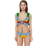 Flag Of The Mapuches Low Cut Ruffle Edge Bikini Set