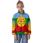 Flag Of The Mapuches Kids  Half Zip Hoodie