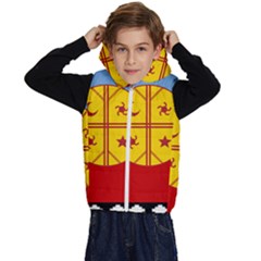 Flag Of The Mapuches Kids  Stylish Hooded Puffer Vest from ArtsNow.com