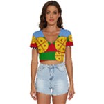 Flag Of The Mapuches V-Neck Crop Top