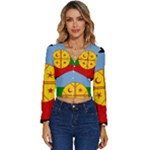Flag Of The Mapuches Long Sleeve V-Neck Top