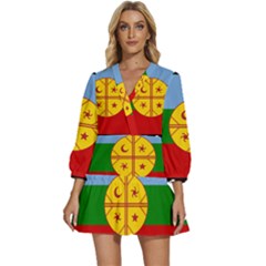 V-Neck Placket Mini Dress 