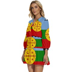 V-Neck Placket Mini Dress 