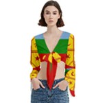 Flag Of The Mapuches Trumpet Sleeve Cropped Top